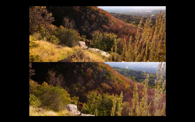 iPhone vs RED Weapon Video Footage