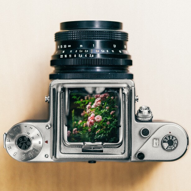 Viewinder of medium format film camera