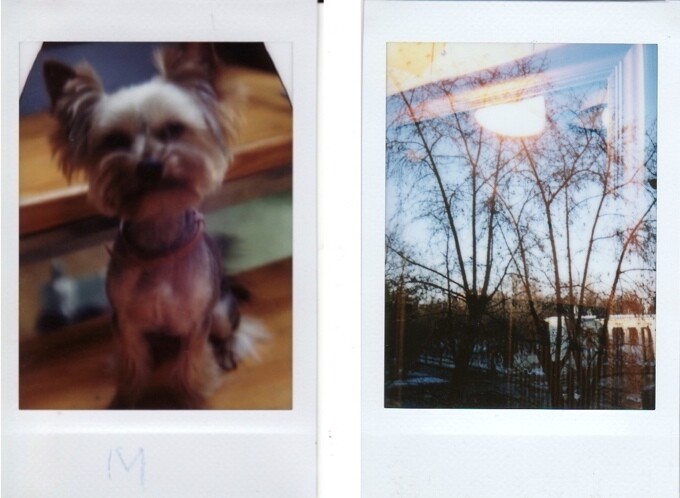Photos taken with Jollylook