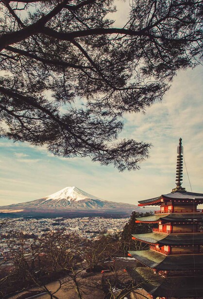 Mt. Fuji