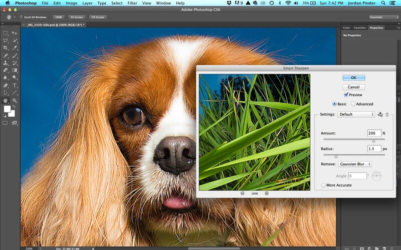  sharpening an image of a spaniel