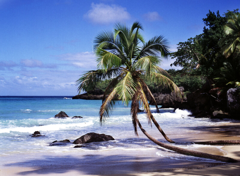 dominican beach