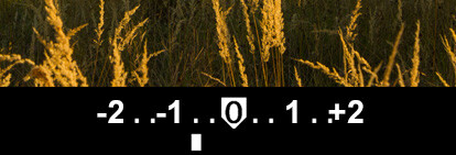Camera light meter indicator