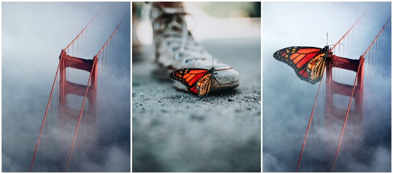 Digital art of a butterfly on a bridge.