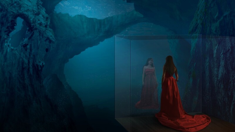 Underwater beauty: aquarium glass