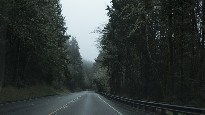Image by Gabrielle Colton, Oregon Coast