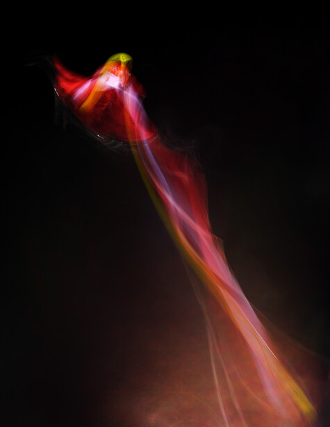 winter-olympics-getty-images