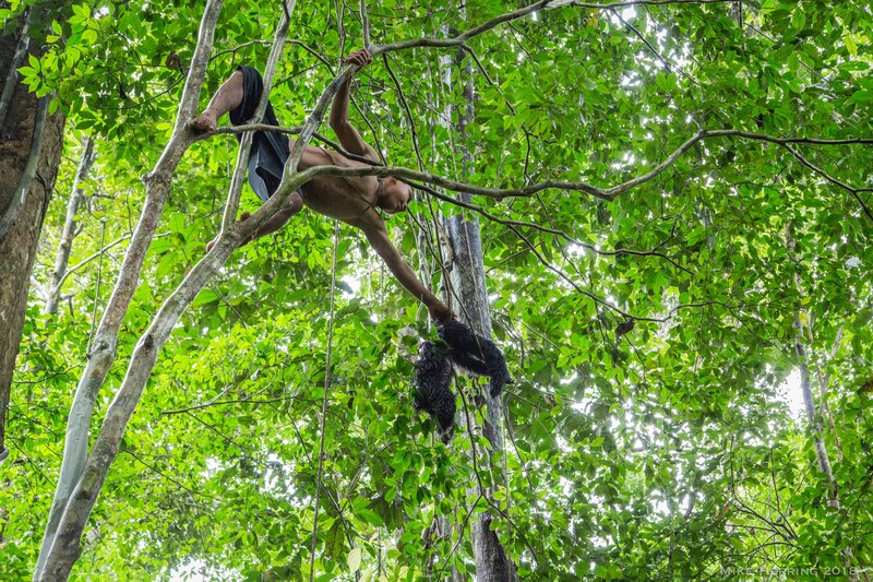 matis-monkey-hunt