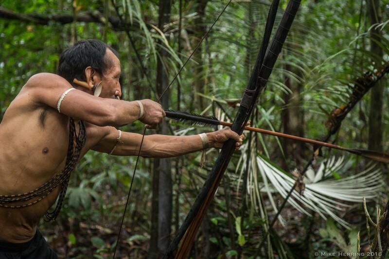 matis-hunting-in-jungle 