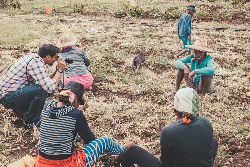 Photographing people in the field.