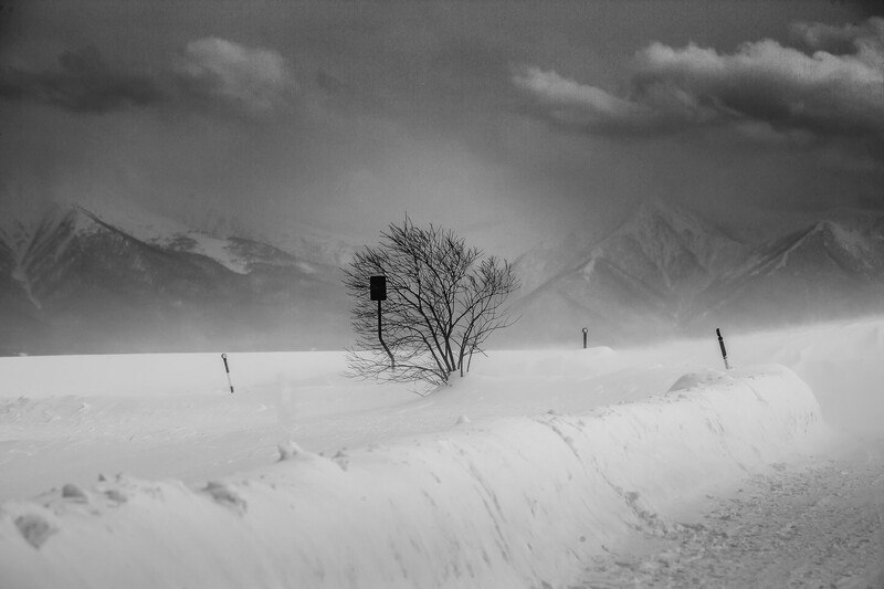 snowscapes, winter, landscape