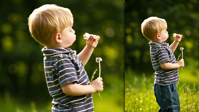 Little boy with a dandelion