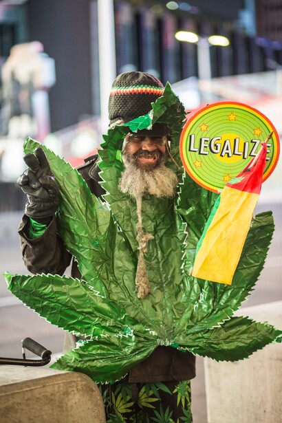 A man wearing a marijuana costume