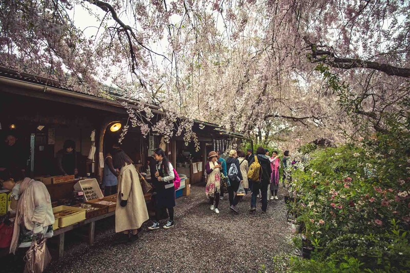 Haratanien Blossom Garden