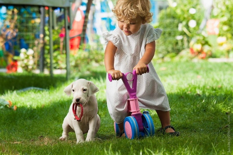 Child with a puppy