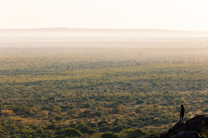 Man overlooking the South African landscape 