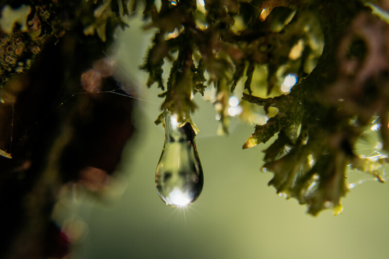 Macro image of a raindrop