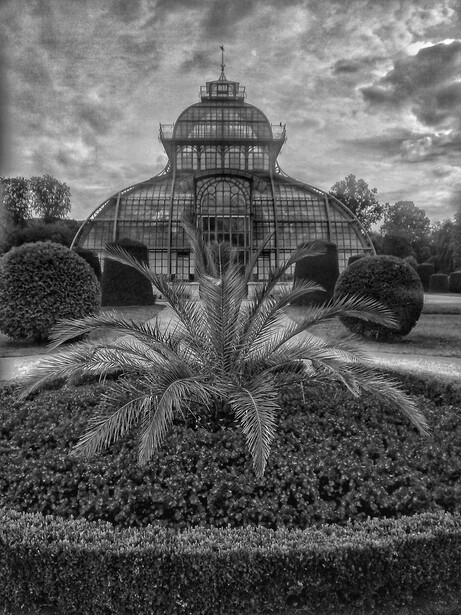 Palm House, Vienna