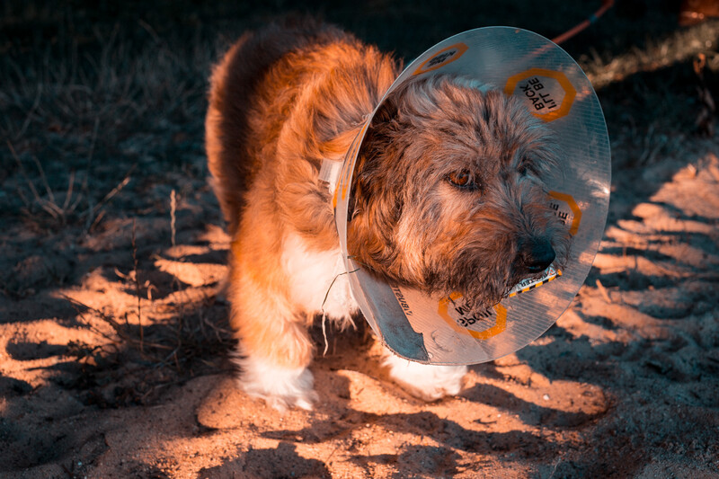 teal and orange lightroom presets will gain you instagram followers