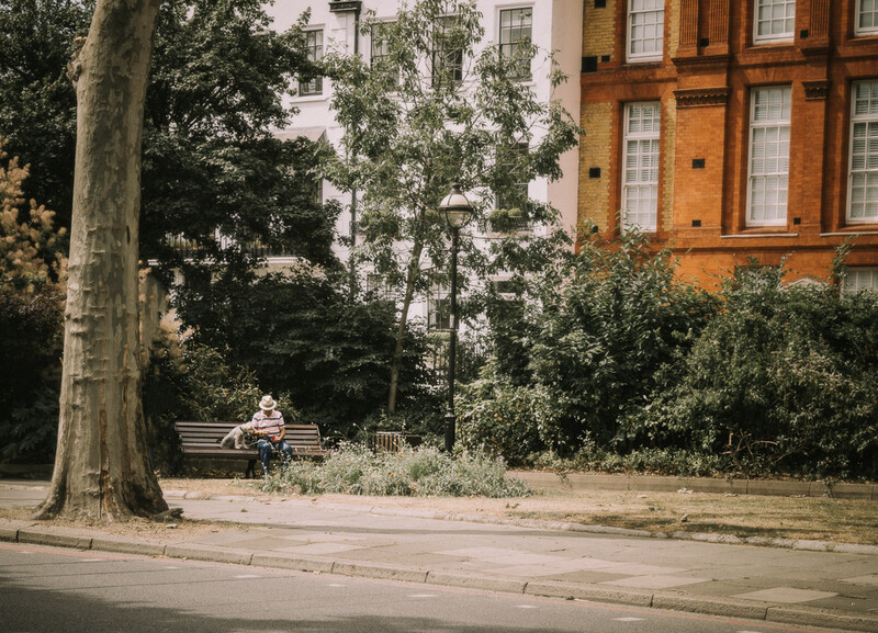 A man and his dog sat on a bench in London