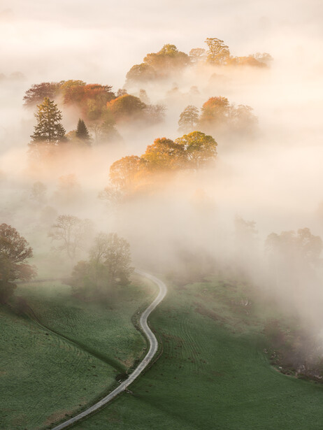 Photo of morning mist
