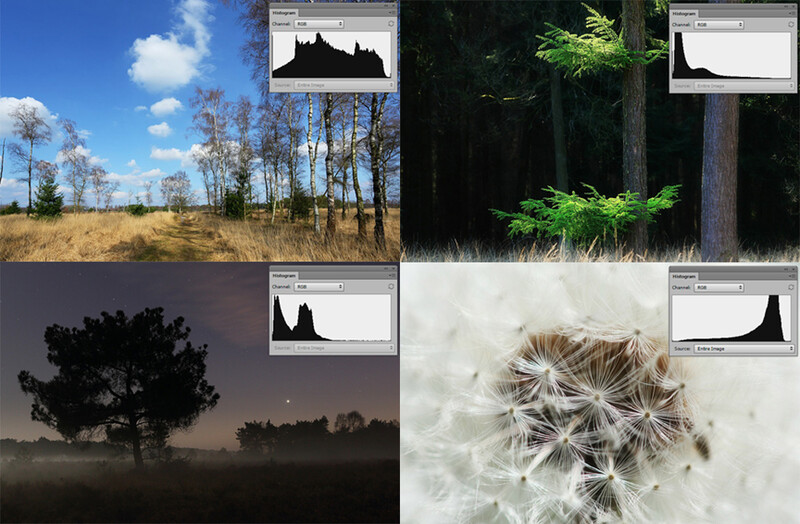 Just a few examples on how the histogram can be, depending on the subject and exposure.It shows the histogram can have completely different shapes, even if the exposure is correct.