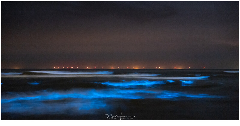 In a very dark location the use of a LCD screen or electronic viewfinder can blind you so much, you don't see anything for a few moments. That I witnessed when photographing Sea Sparkle. (Leica SL with 24-90mm f/2,8-4 @ 90mm | ISO6400 | f/4 | 4 sec)
