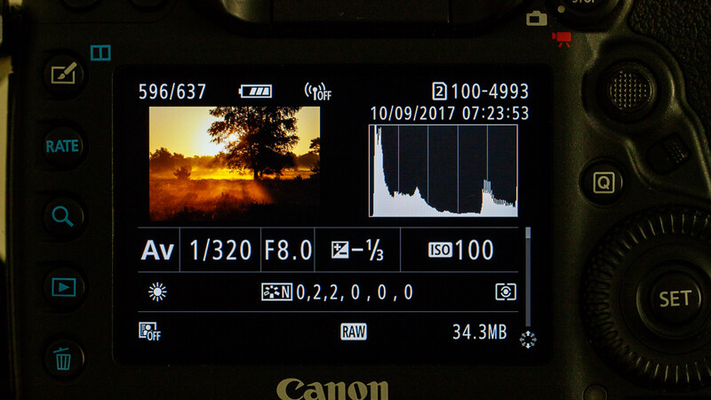 Instead of relying on what you see on screen, you should look at the histogram. This is only way to check exposure without being influenced by screen brightness or ambient light