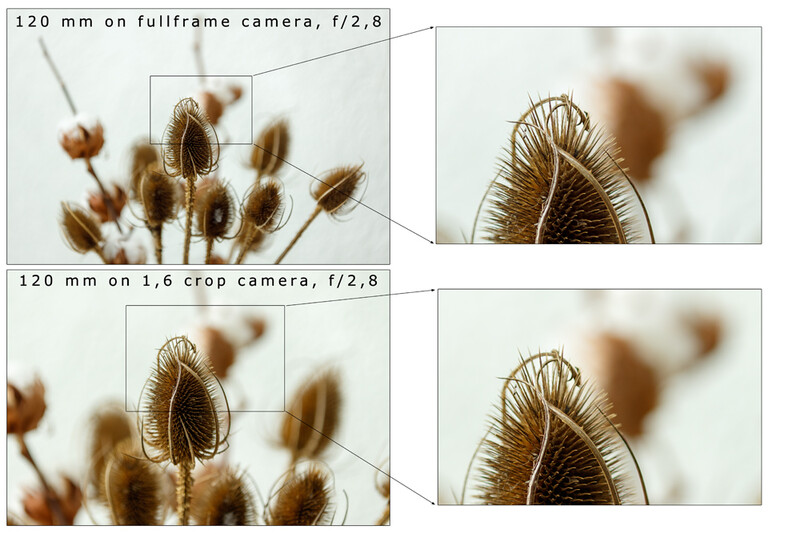 When viewed in the same magnification you see sensor size does not change depth of field, as long as focal length, aperture and distance is kept the same. This is because a crop sensor only captures a part of what a full frame sensor would.