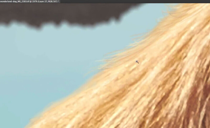 Painting hair