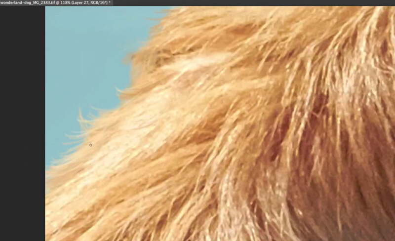 Completed painting of hair