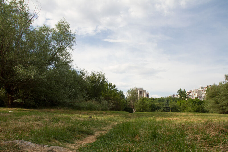Local park - the usual location