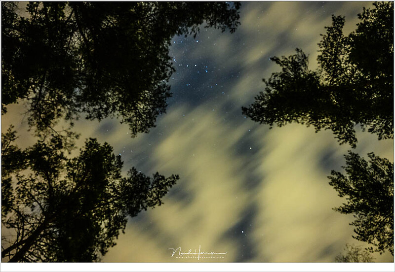 Discovering its becoming real cloudy after half an hour drive. It was quite frustrating when I watched the stars disappear. I waited a bit, took a few photos but gathered my cameras with disappointment and went home. (Nikon Z7 + 24-70/4 @ 24mm | ISO6400 |