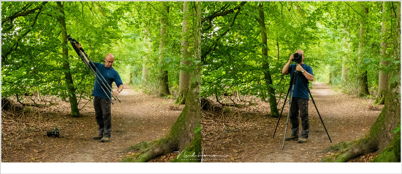 You bought a tripod that is the same height as your length so you can use it without crouching. But it isn't always the height for the best composition. 