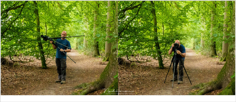 Unfortunately it was a bit too high and again you need to lower the tripod. At this time I am sure you are cursing the use of a tripod. But at last, you have the height you want.