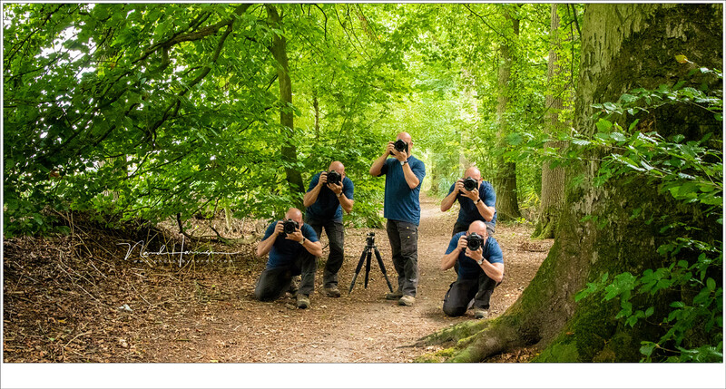 The tripod dance of the photographer. Without touching the tripod you can go up, down, left, right, forward, backward... (be careful for ravines and crevices) until you find the place and height where you want your camera.