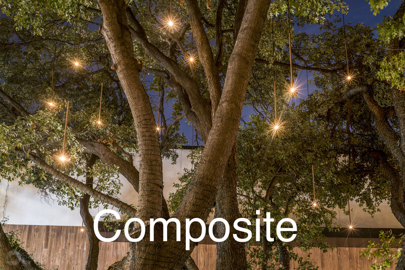 a composite photo of a tree at night