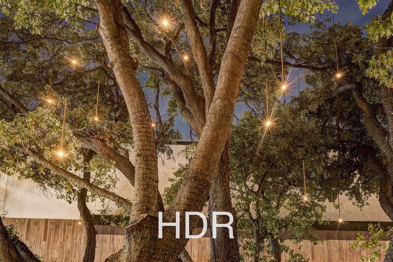 an HDR photo of a tree with lights