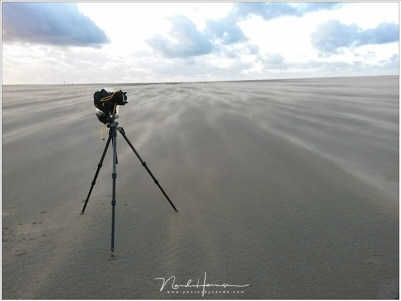Standing firm in a storm. Two legs into the wind, one with the wind brings mist stability. But never leave the tripod alone.