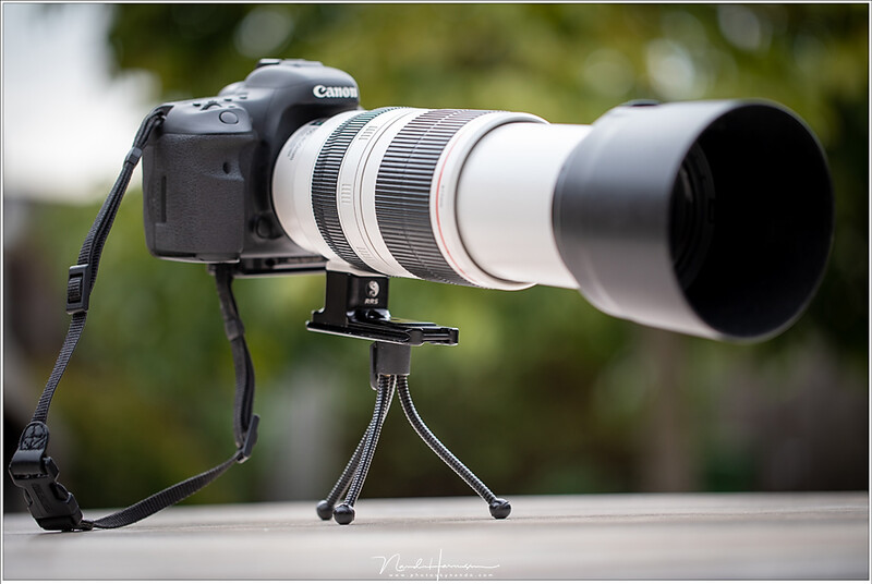 Make sure your tripod can carry the weight and remember, it doesn't have to be the same as the maximum carry weight of a ballhead.