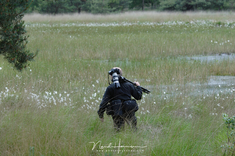 Walking around with your camera attached to your tripod. If you do, it is at your own risk, but make sure your camera is really secured (credit: Hetwie (www.hetwie.nl))