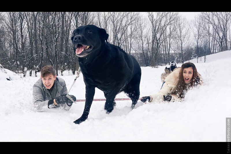 Dog walking - a creative family portrait
