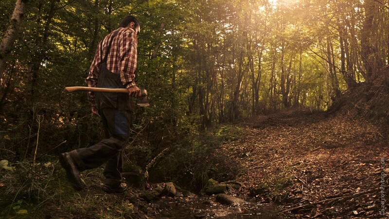 The Lumberman