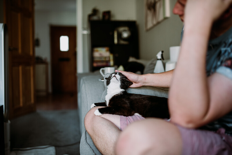 A man petting his black and white cat on a sofa.