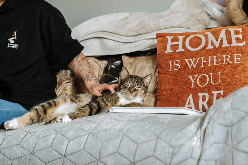 A woman stroking a cat on a sofa.