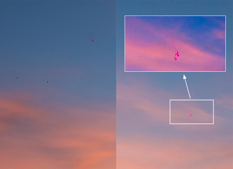 The two rectangles in details with a high contrast inset of the laser burns. It is possible to remove this in Photoshop, but it needs to be done with every photo taken. This has to be repaired and repair means a new sensor.