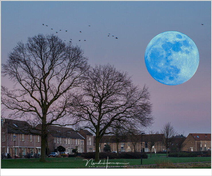 In January 2018 there was a blue super moon, something really special and rare according to the media. I had to rely on Photoshop to make the Moon really blue and super large. Both images are taken right after each other, the foreground setting with 100mm