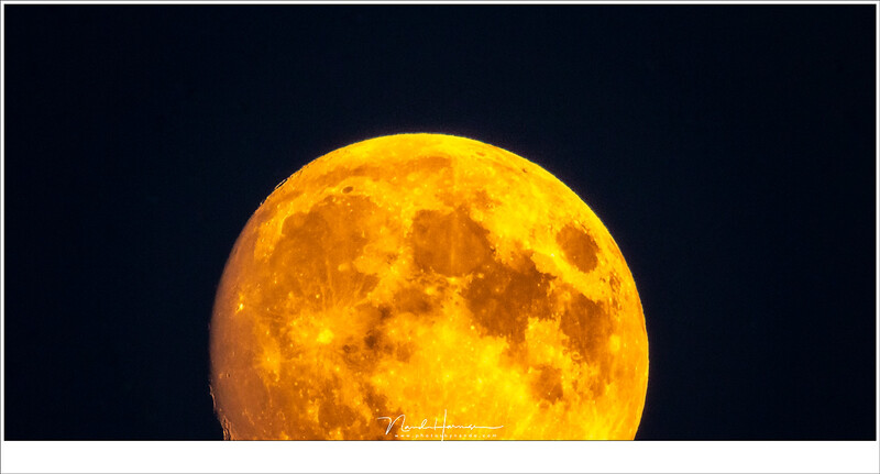 Is this a super moon or not? Can you tell by the color, or by the size of the Moon? In reality this is just a regular (almost) full Moon early in the evening, shot with a really large focal length (Canon EOS 1Dx + EF800L + 2xTC | ISO6400 | f/11 | 1/100)
