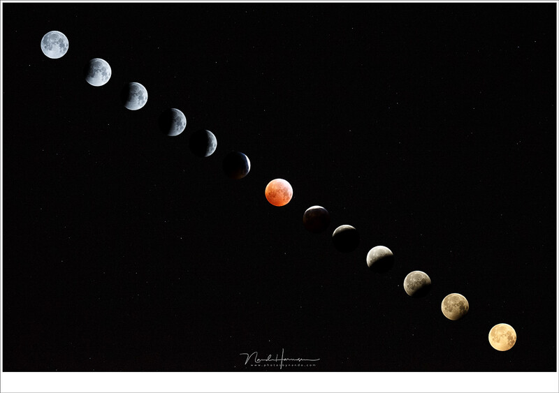 The eclipse of 2019 visible in this composite. Look at the color change of the Moon. From a normal full Moon into the reddish blood moon, towards the golden Moon at moonset. (Canon EOS 1Dx + EF100-400 @ 640mm with 1,4TC | different ISO settings and shutte