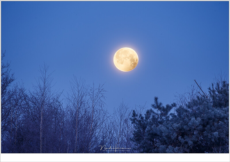 The Moon after the eclipse during morning twilight. For the photographer this moment was more photogenic than the bloos moon itself. Well, that is what I thought. A keen eye will see a plane crossing the disk of the Moon. (Canon EOS 1Dx + EF100-400L @ 400